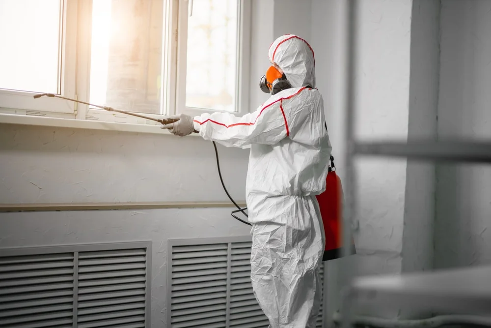 Professional mold remediation services in Hanscom Afb, MA